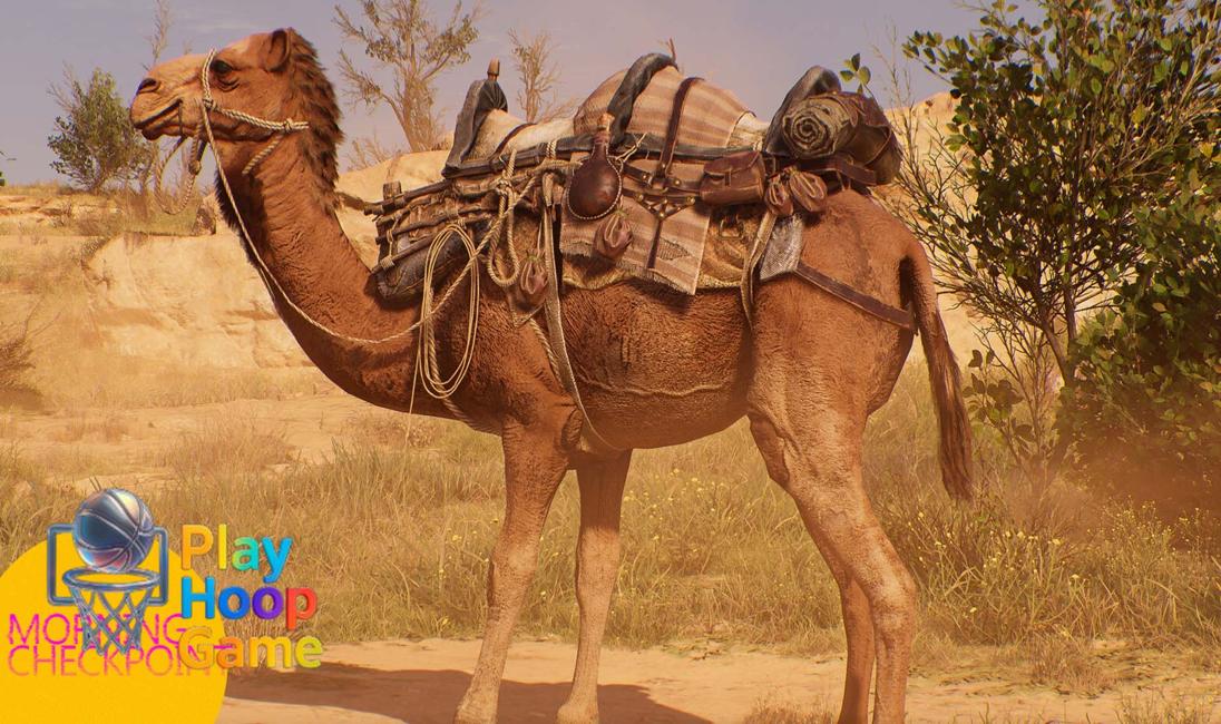 Attendees Call Florida Gamer Convention A Scam, But At Least It Had Camels To Pet